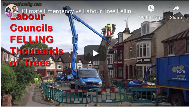 Climate Emergency vs Labour Tree Felling Councils Reality - Sheffield General Election 2019